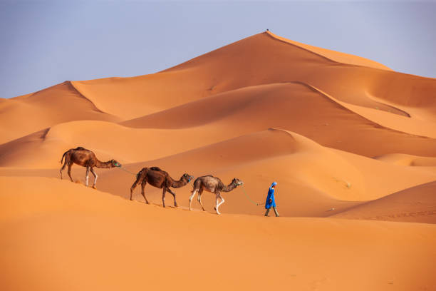 Fortresses and Dunes 8